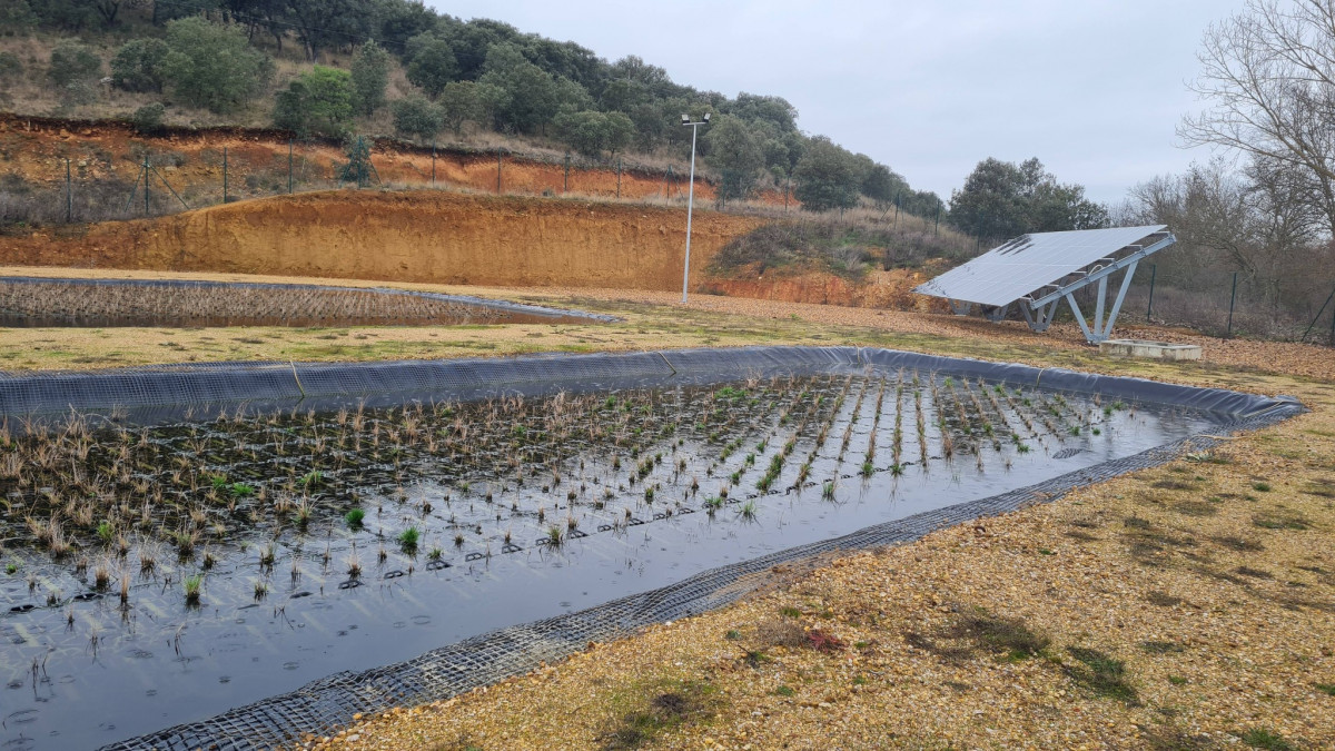 615150168 1341864074650001 2670156885649997533 n