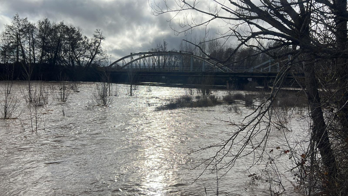 WhatsApp Image 2026 02 02 at 16.18.27