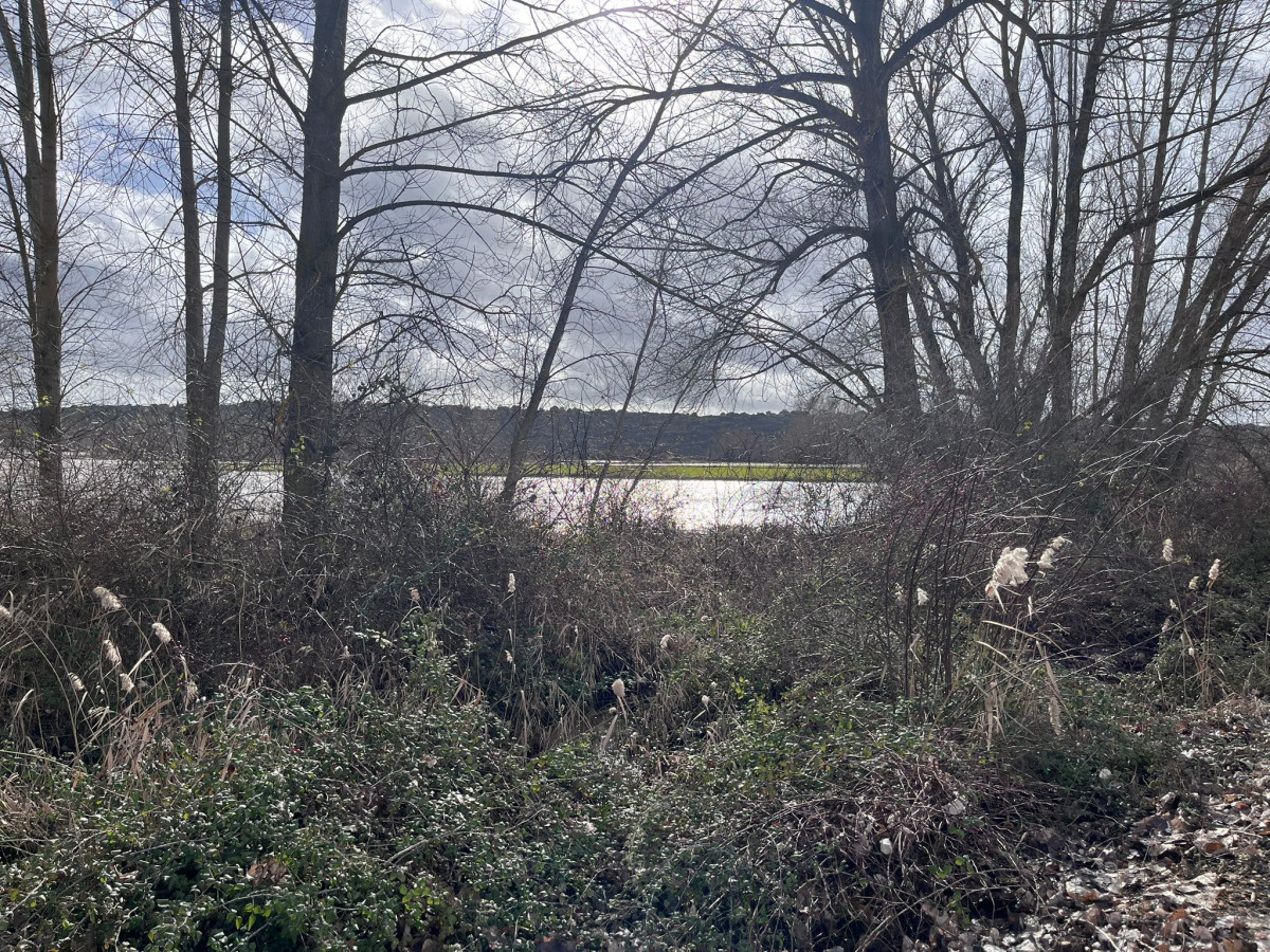 WhatsApp Image 2026 02 04 at 21.20.19