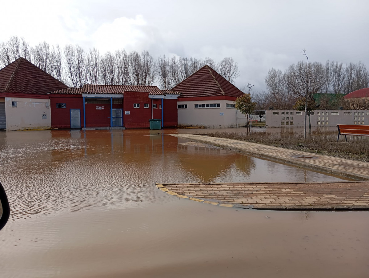 WhatsApp Image 2026 02 05 at 11.51.32