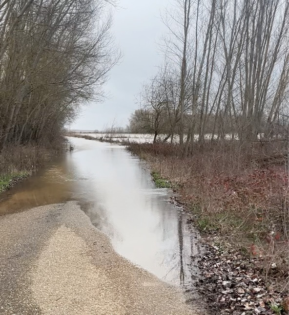 Carreteramairefresno