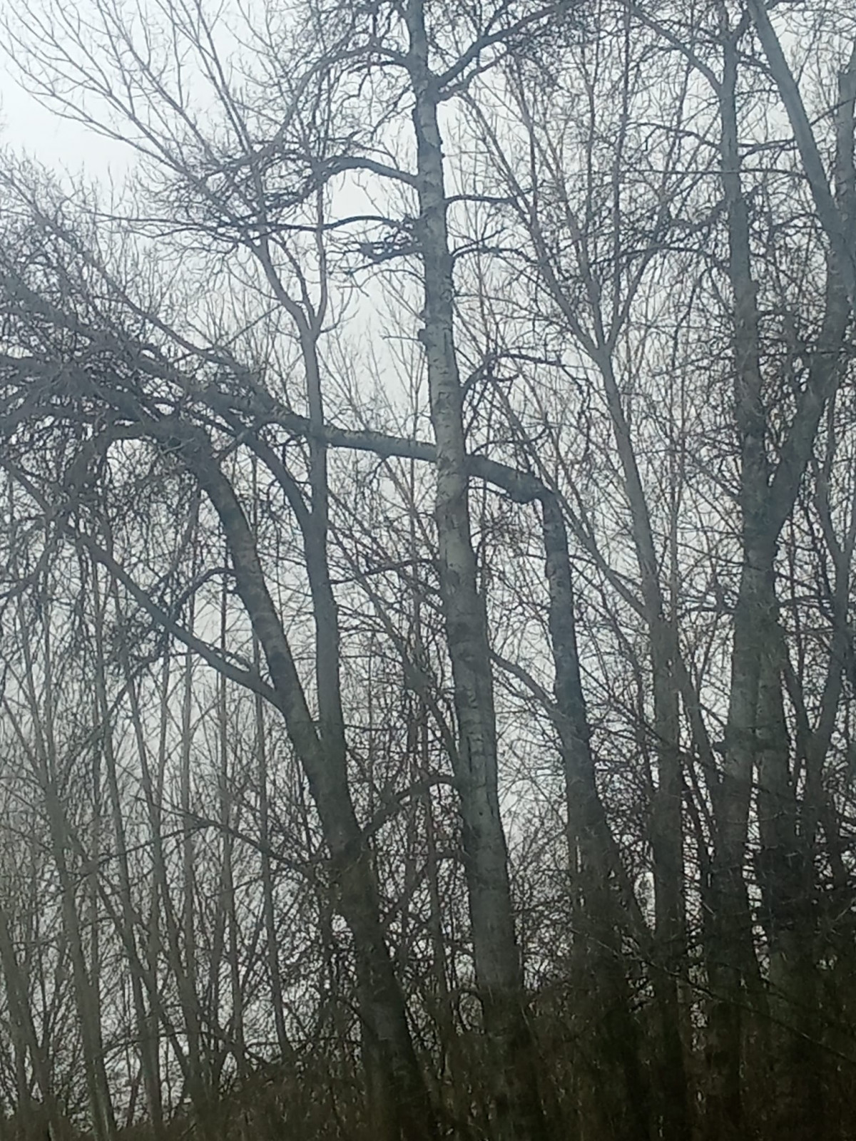 Foto 11 2 26, 17 03 18