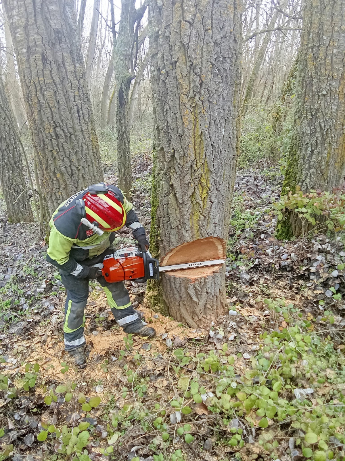 Foto 11 2 26, 17 03 19 (1)