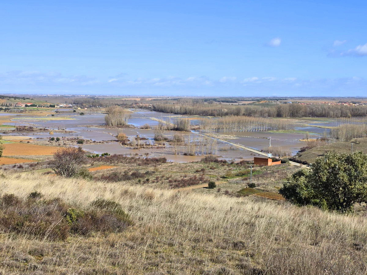 0e7030fe e84f 4038 b7fc 168d9583d051