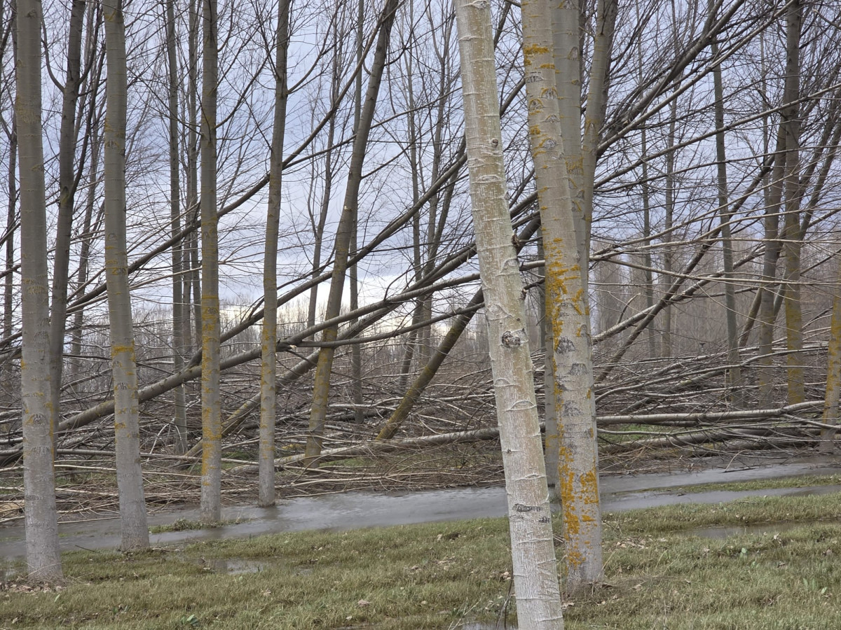 WhatsApp Image 2026 02 15 at 18.01.08