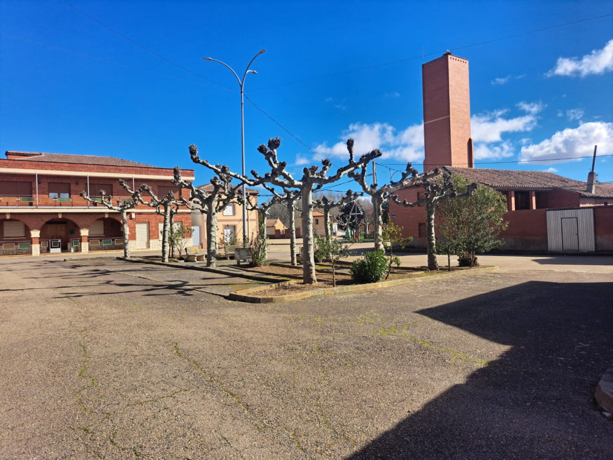 WhatsApp Image 2026 02 19 at 18.02.44