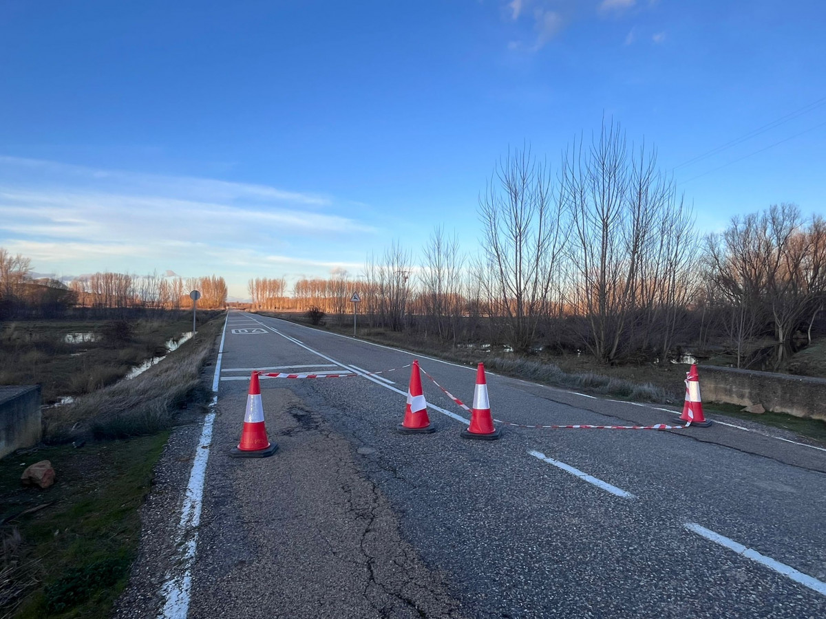 WhatsApp Image 2026 02 19 at 21.28.59