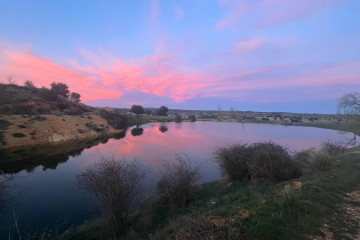 WhatsApp Image 2026 02 23 at 19.33.55