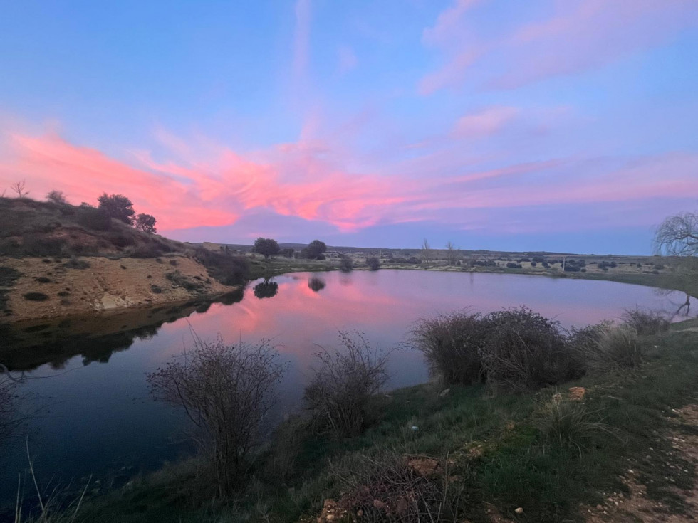 WhatsApp Image 2026 02 23 at 19.33.55