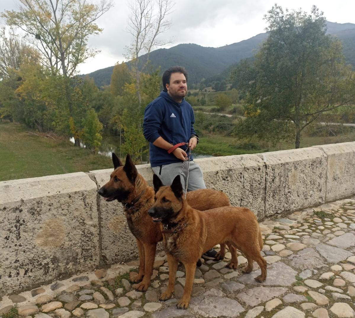 D4b160ad c509 4fb2 90b5 b87827525b27