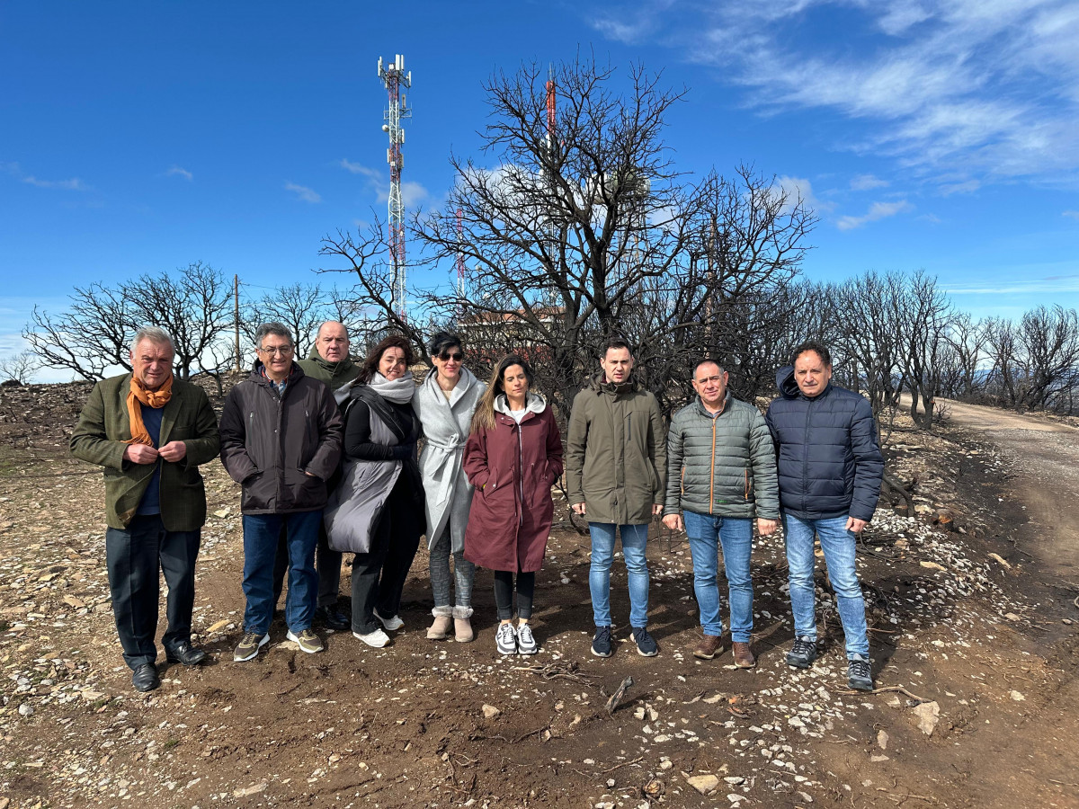 WhatsApp Image 2026 03 06 at 17.47.17