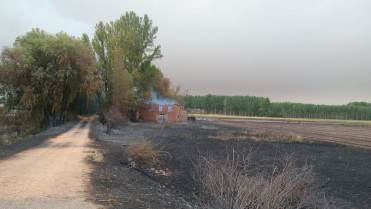 Foto 12 8 25, 20 39 53