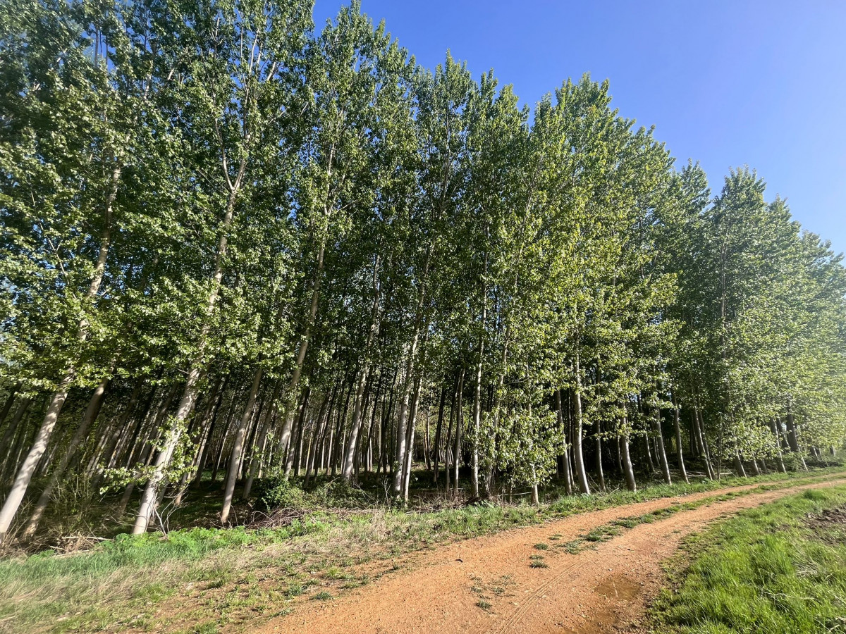 WhatsApp Image 2026 04 09 at 22.26.14