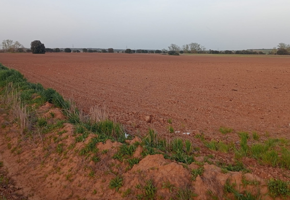 WhatsApp Image 2026 04 10 at 22.21.33