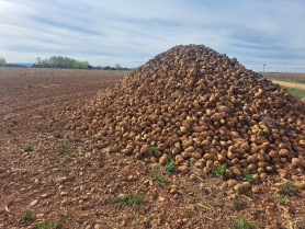 WhatsApp Image 2026 04 17 at 20.49.52