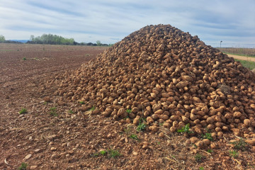 WhatsApp Image 2026 04 17 at 20.49.52