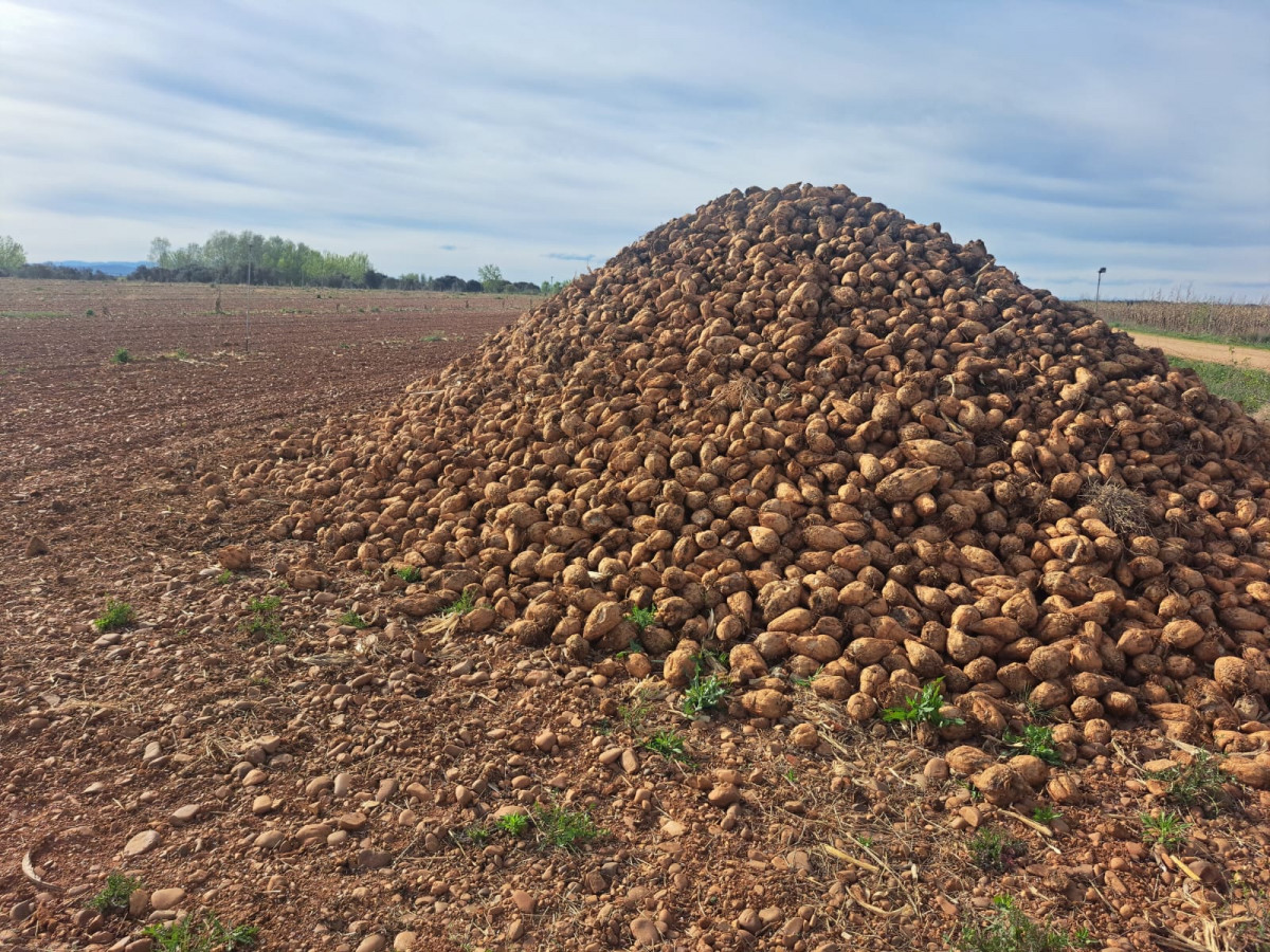 WhatsApp Image 2026 04 17 at 20.49.52