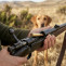 Caza concepto2