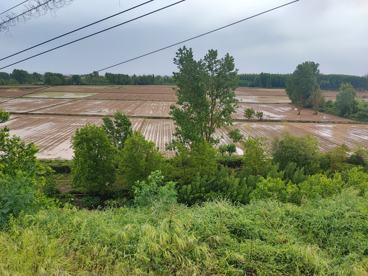 WhatsApp Image 2026 04 27 at 23.45.31