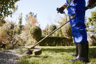 Gardener with weedwacker cutting grass garden